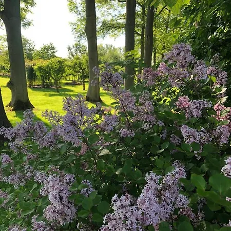 Bielenberg 37 Kollmar