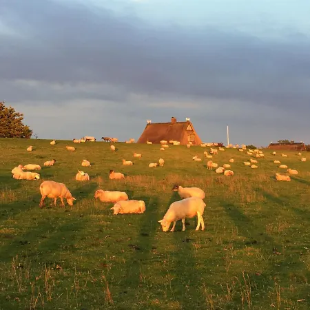 Bielenberg 37 Kollmar