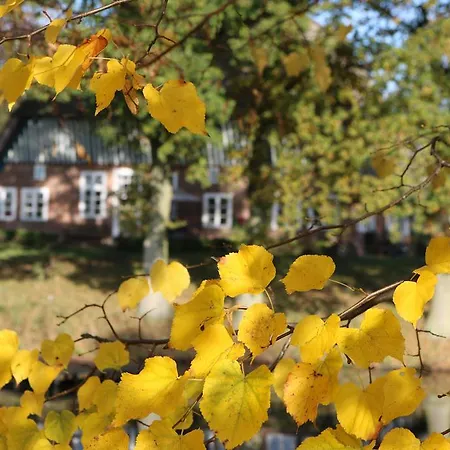 Bielenberg 37 Prázdninový dům