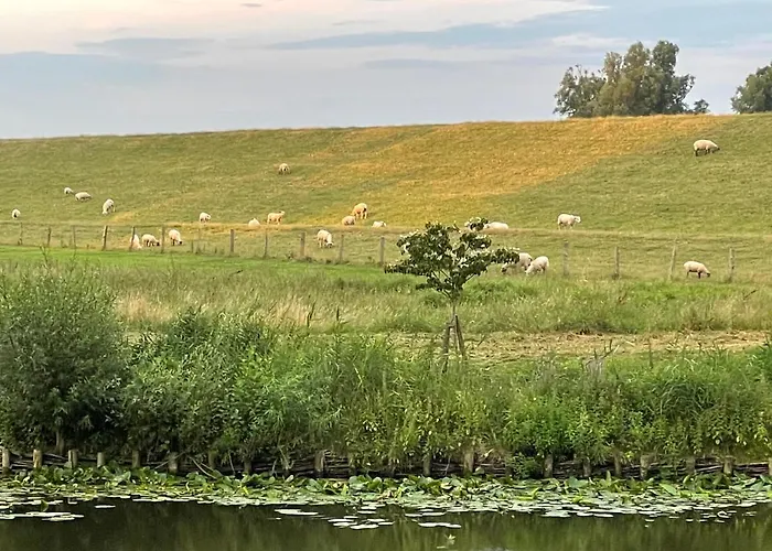 Bielenberg 37 *
