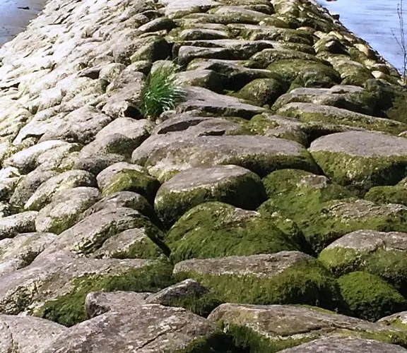 Nyaraló Bielenberg 37