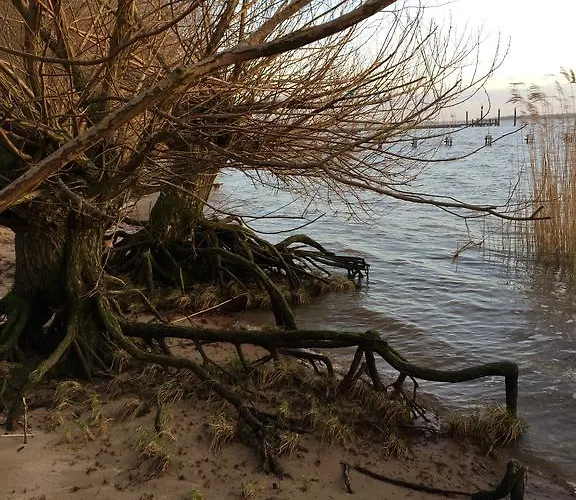 Bielenberg 37 Kollmar